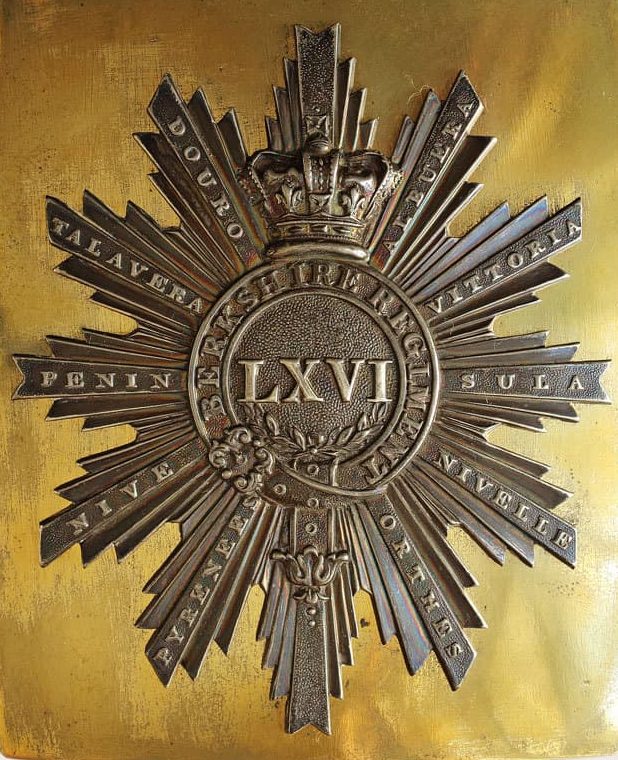 Napoleon on St Helena HM 66th Polish badge